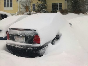 Early spring in Boston