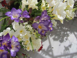 Freesias on the balcony console us: too pretty to pick.