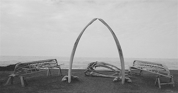 Whale bones: Barrow, Alaska.