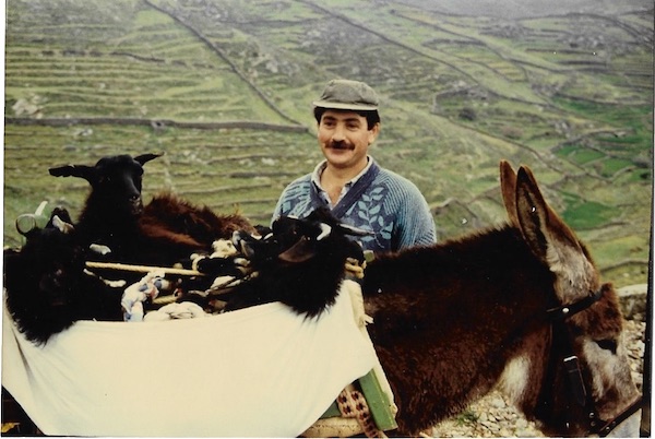 Local resident transporting lambs on his donkey, Kythnos, 1994.