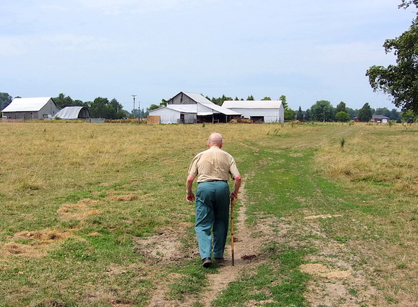 Awaiting the bulldozer: Dad where he cleared the hedgerow.