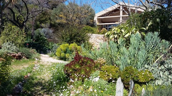 Part of the so-called threshing floor to the south of Jacky’s house at Sparoza, hill of sparrows.