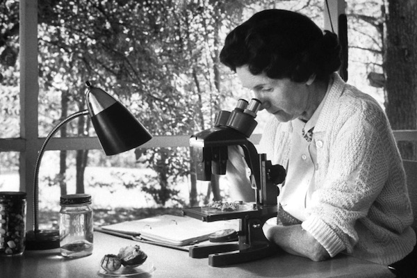 Rachel Carson, marine biologist and author of Silent Spring.