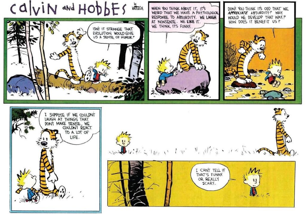 Calvin and Hobbes on absurdity.