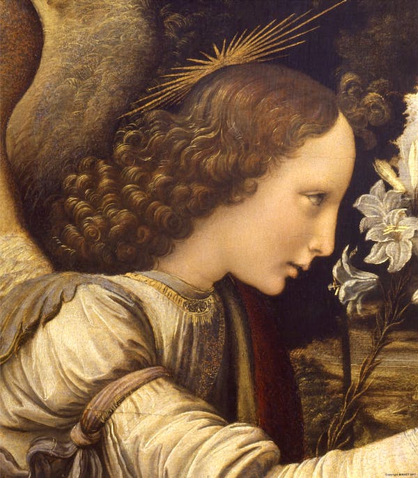 Detail from “The Annunciation,” by Leonardo da Vinci.