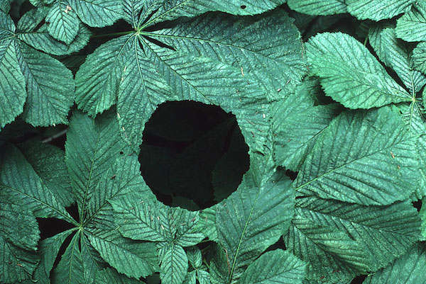 Tighem - Temporary by nature: land art by Andy Goldsworthy.