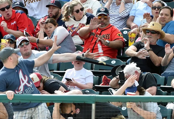 Shaun Cunningham saving his son Landon from a flying bat.