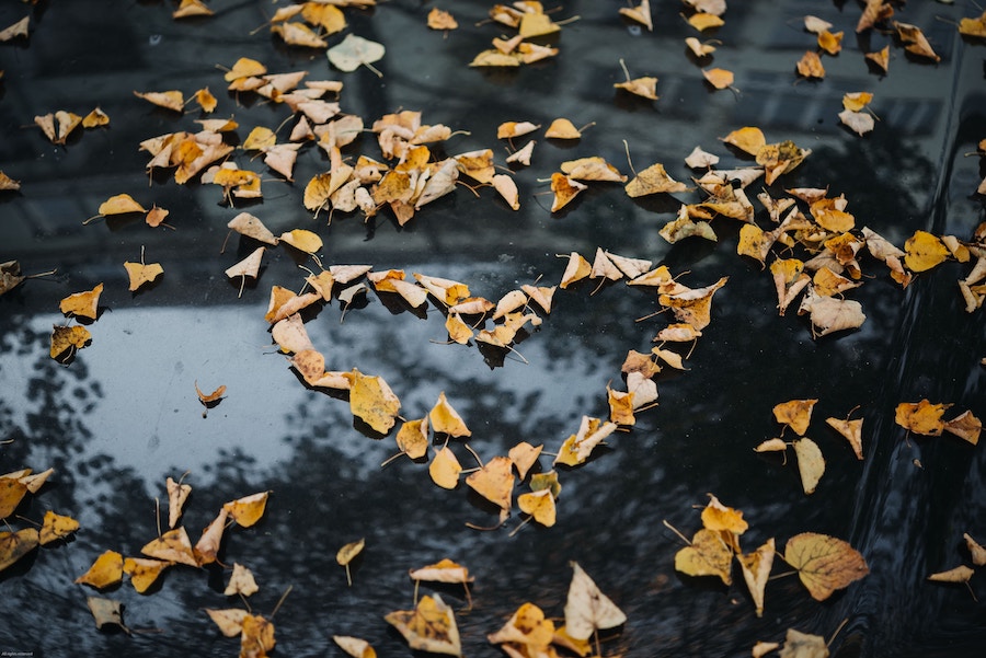 “Autumn Love Signs,” via Unsplash, by Roman Kraft.