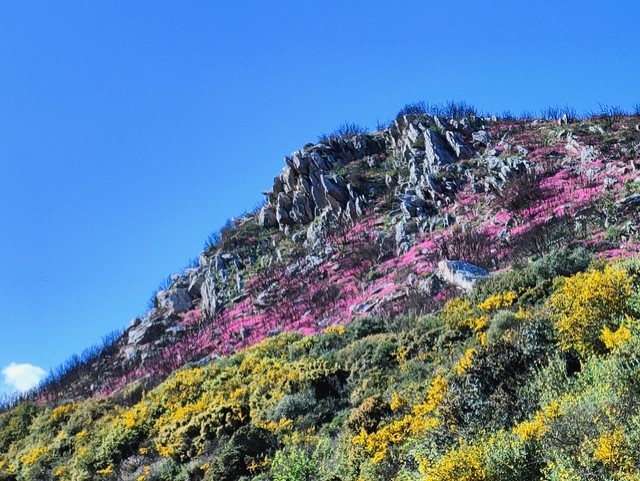 Dramatic mountainside between Koroni and Methoni. (Photo: Petros Ladas.)