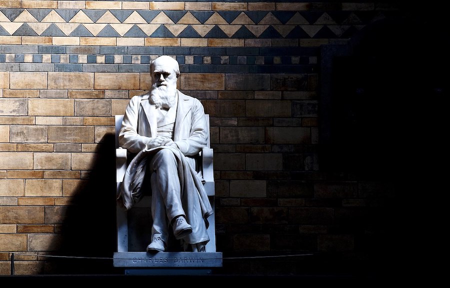 Statue of Charles Darwin, Natural History Museum, Kensington & Chelsea. (Image via Wikimedia Commons.)