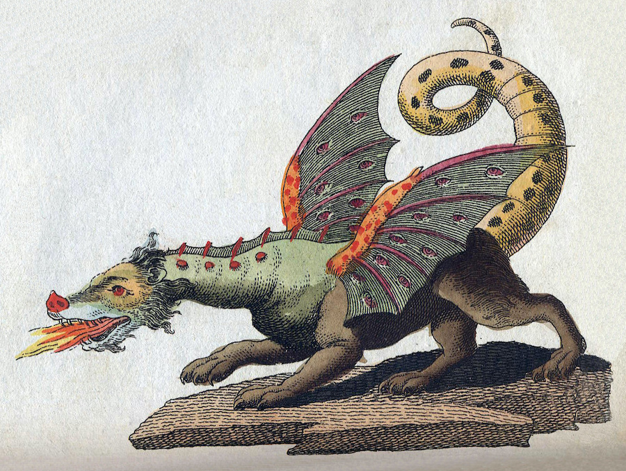 “Mythical Creature-Dragon,” by Friedrich Johann Justin Bertuch, 1806. (Image via Wikimedia Commons.) 