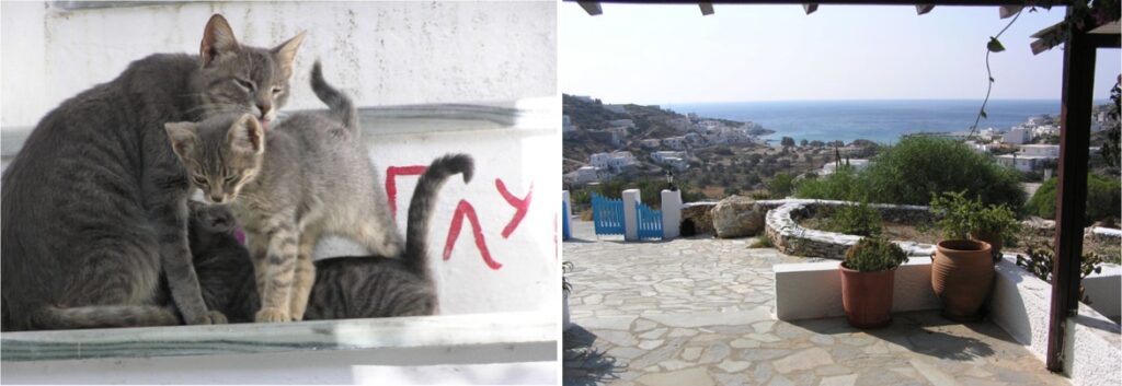 Kittens of Kastro (L) and View from Loukas Studios (R).