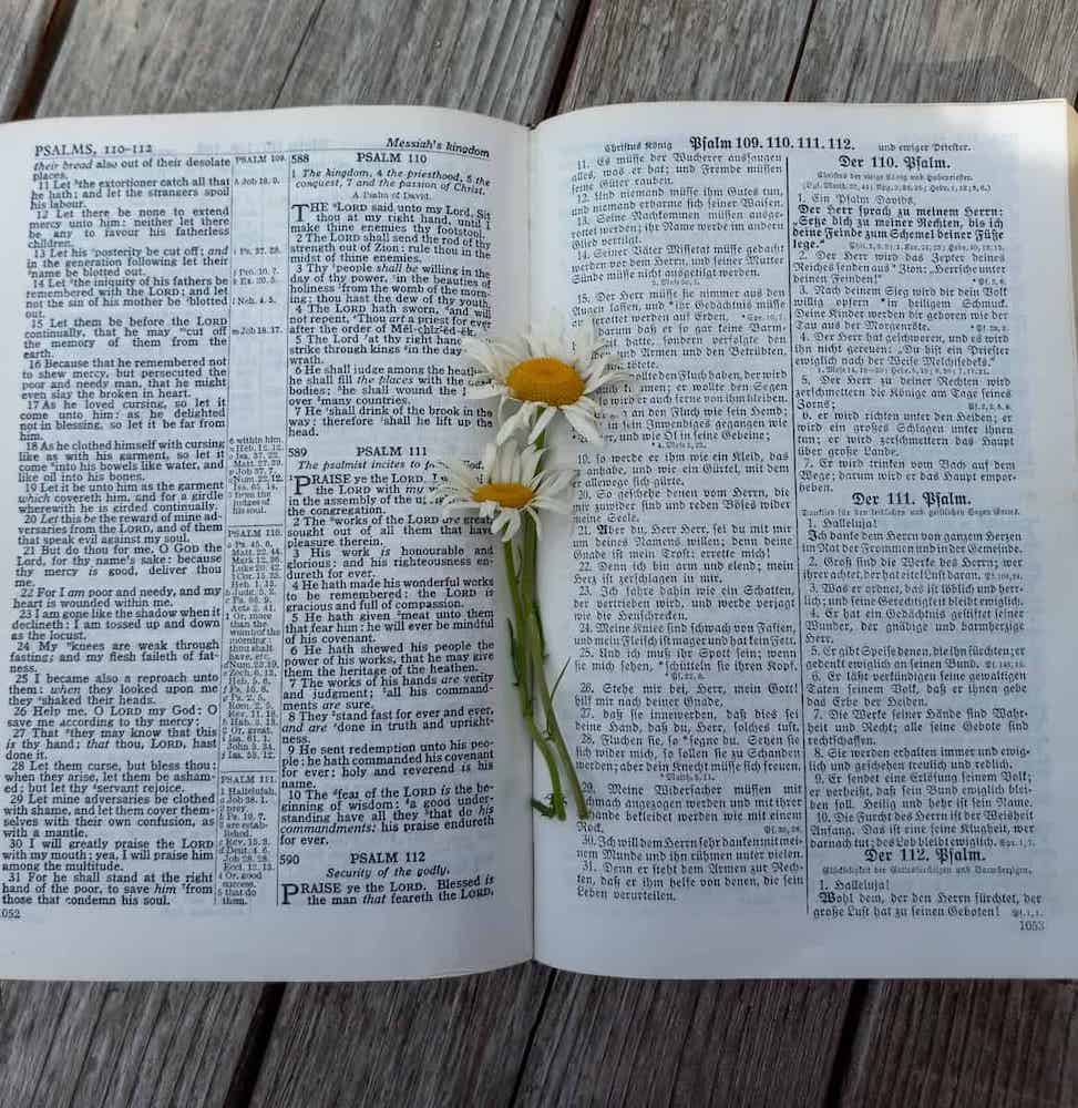 Amish Bible. (Photo: Anna/Amish Heritage.)