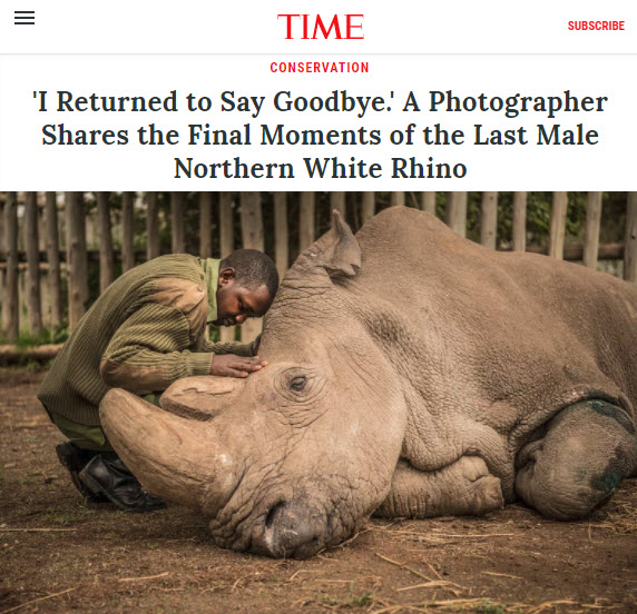 Joseph Wachira, 26, comforts Sudan, the last male Northern White Rhino on the planet, moments before he passes away. (Photo: Ami Vitale/National Geographic Creative 