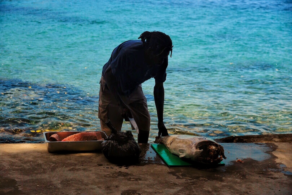 Daily island catch. (Photo: Chiara-Sophia Coyle.)