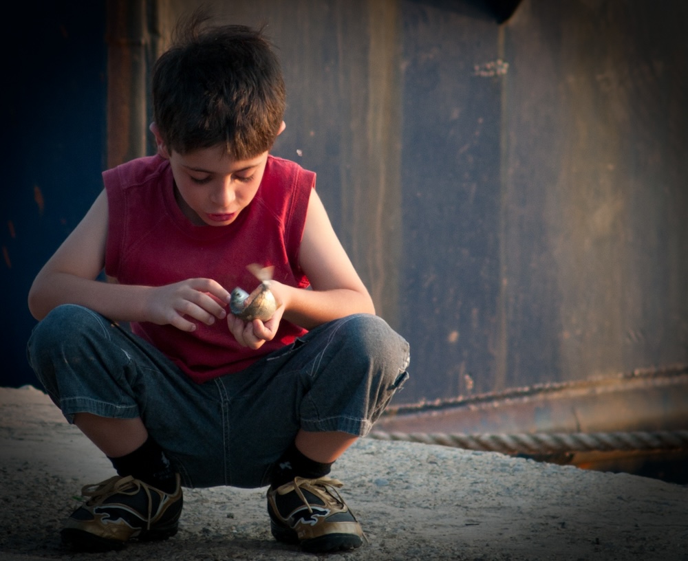 Friends. Galaxidi, Greece. (Photo: Chiara-Sophia Coyle.)