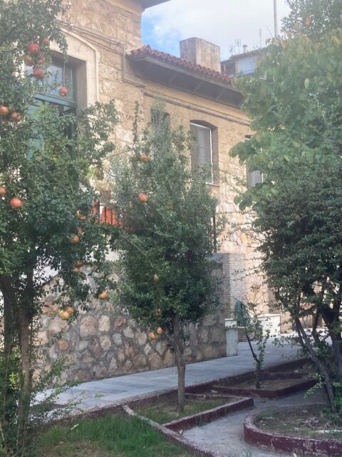 One of the stately old buildings at the Syngrou Hospital, framed by pomegranate trees.