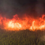 The Kenow Wildfire. (Photo: Parks Canada/ Ryan Peruniak.)