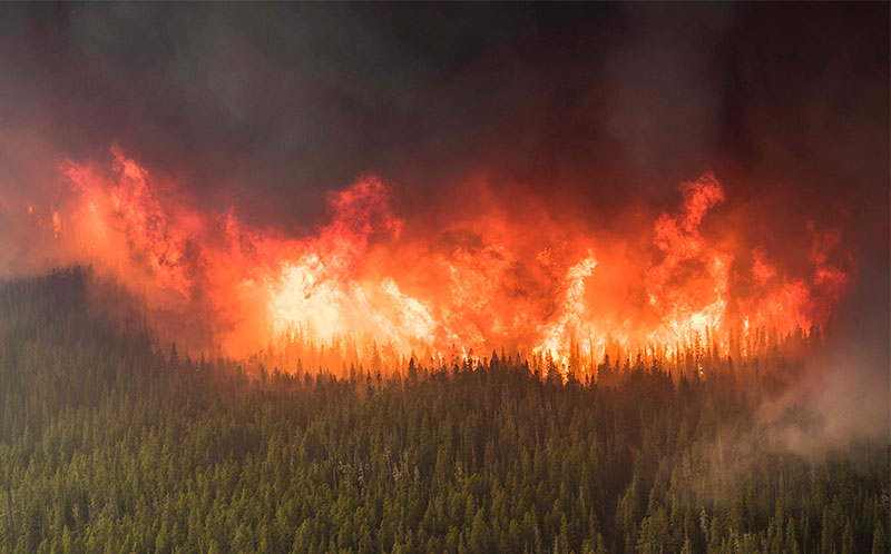 The Kenow Wildfire. (Photo: Parks Canada/ Ryan Peruniak.)