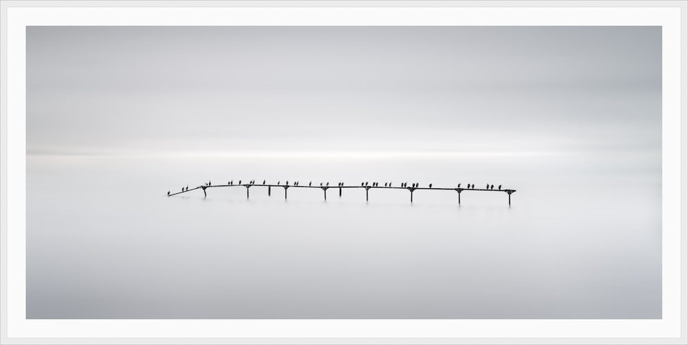 “Cormorants on an Abandoned Pier #9,” Strait of Magellan, Chile, 2023.