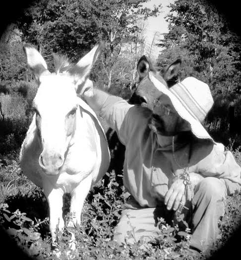 His old donkey Phoebe saved his life. Stood over his head and saved him from drowning in the mudslide. They were together 30 years after that.