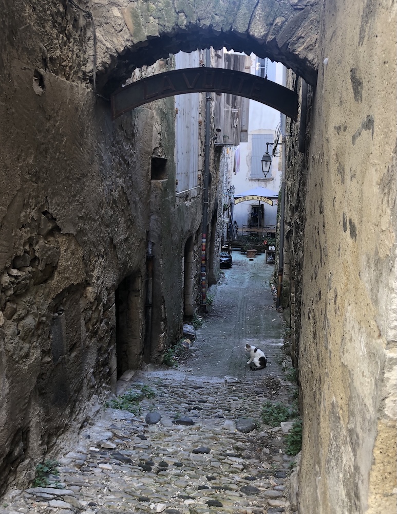 A stray cat in Viviers, France.