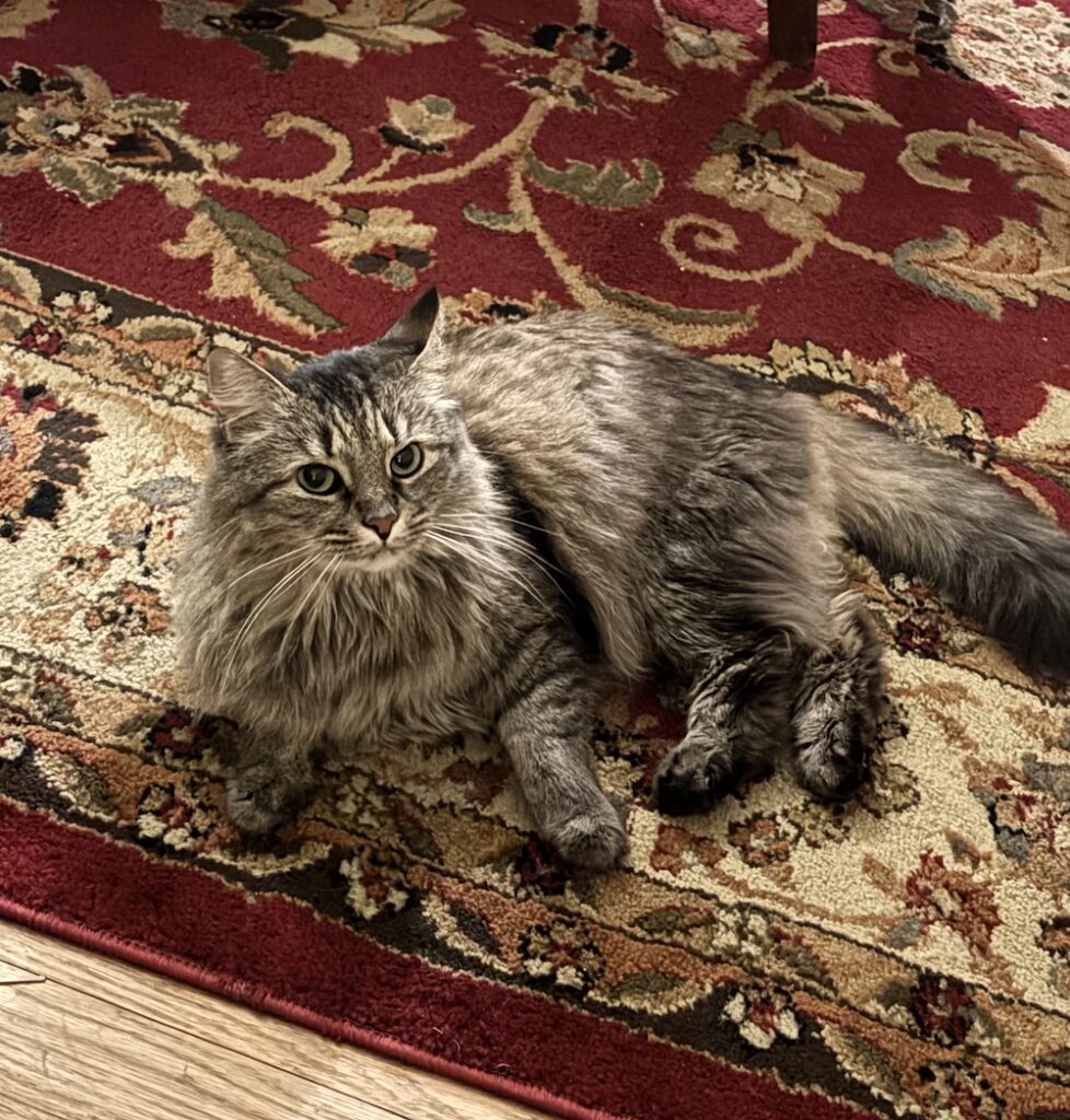 The miraculous Jenny.