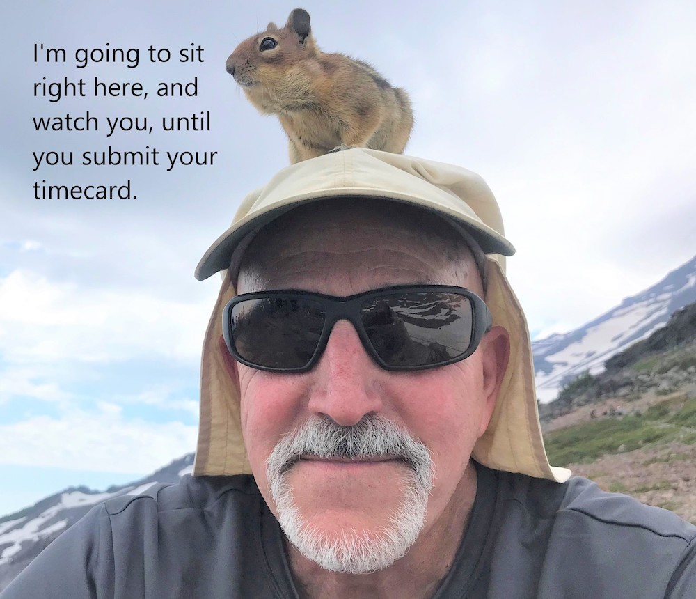 Chipmunk supervision.