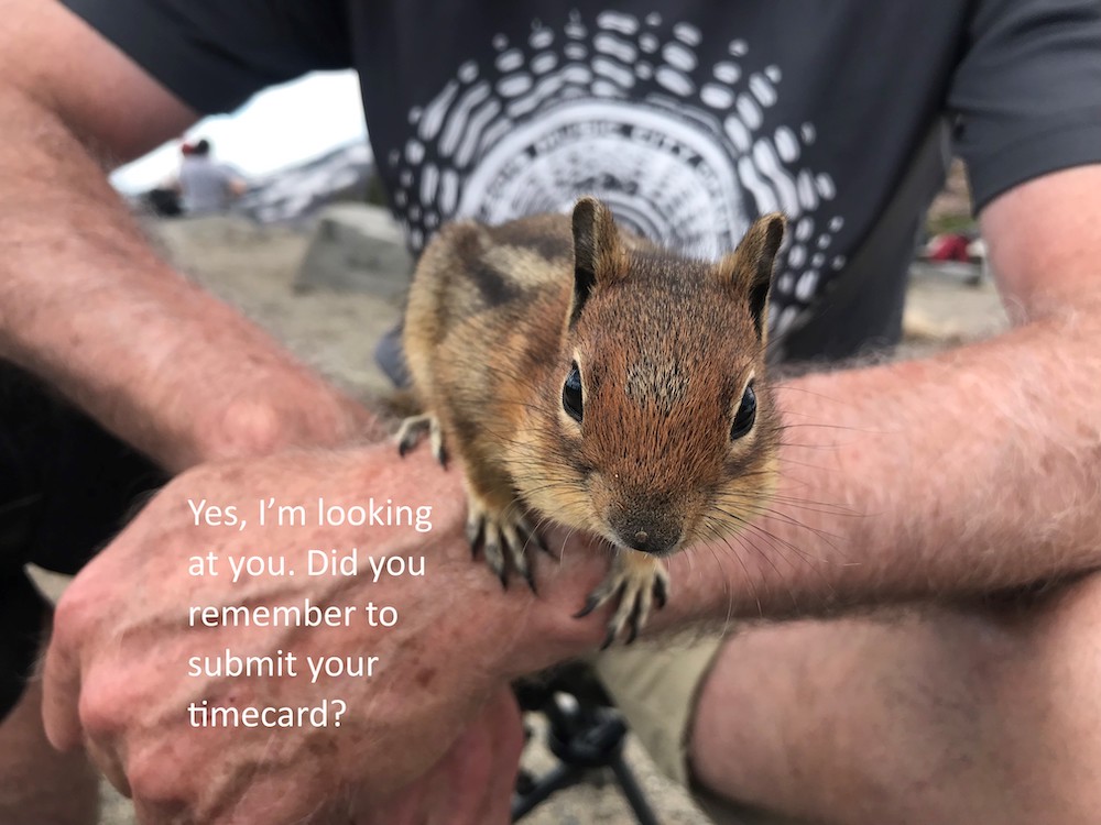 Yes, I'm looking at you.