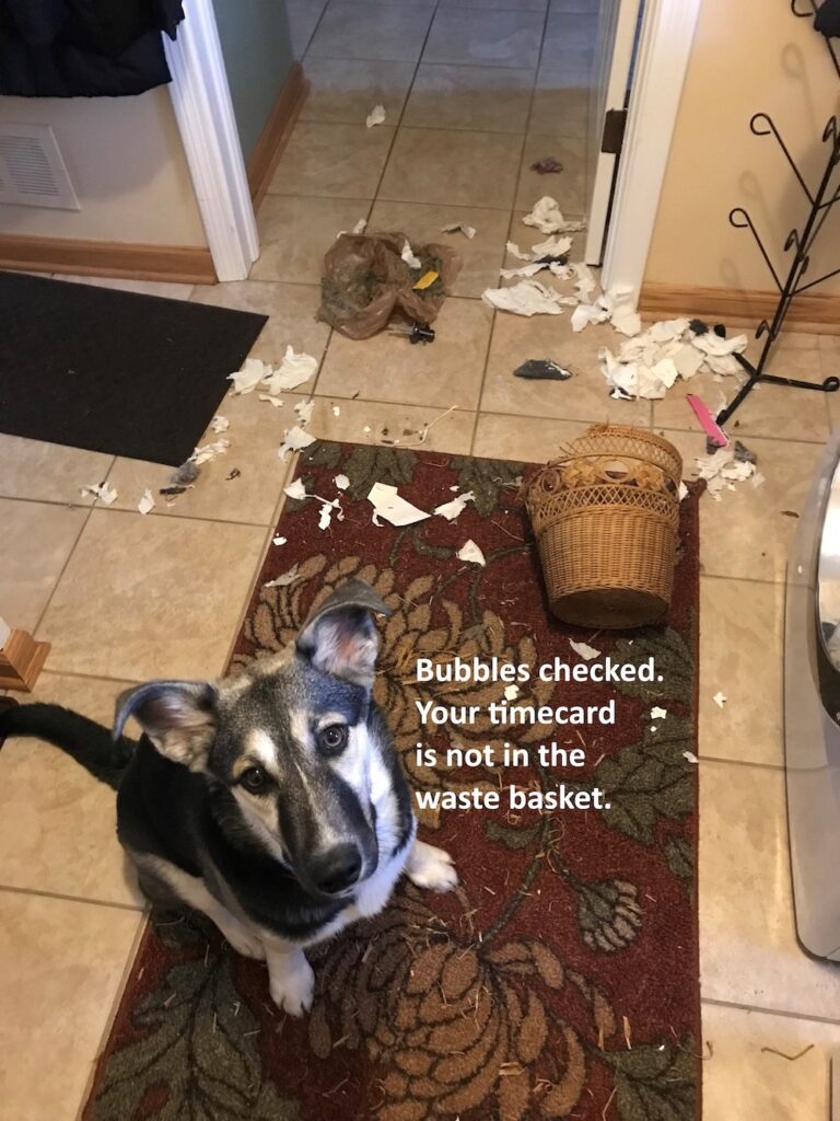 Bubbles checked the waste basket. 