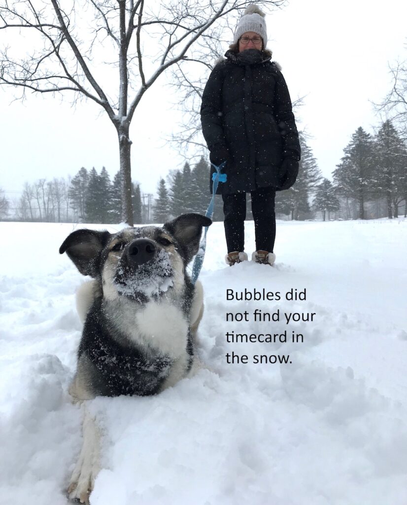 Bubbles playing in the snow.