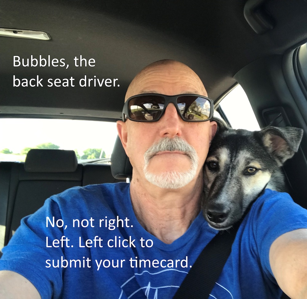 Bubbles the back seat driver.